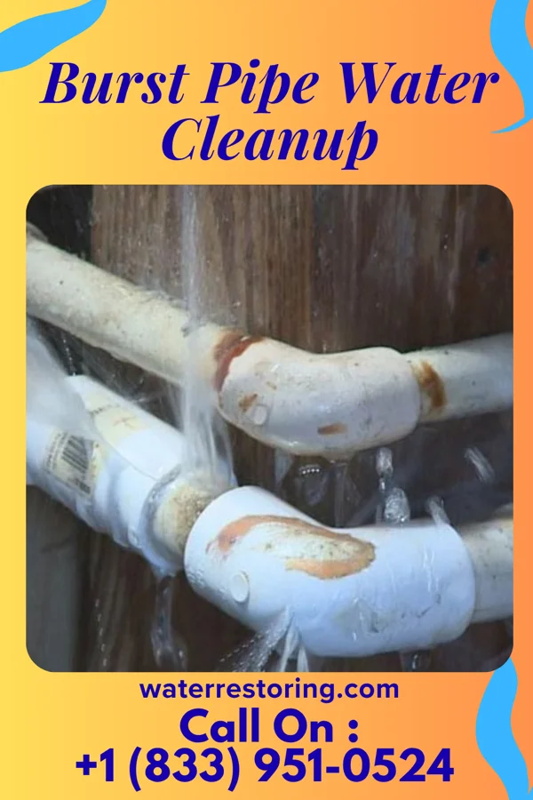 Burst Pipe Water Cleanup in Salix, IA