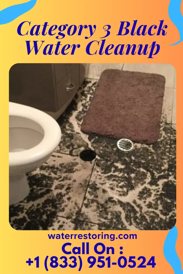 Category 3 Black Water Cleanup in Salix, IA