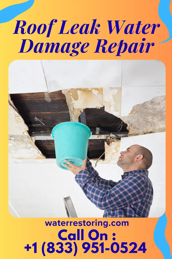 Roof Leak Water Damage Repair in Salix, IA