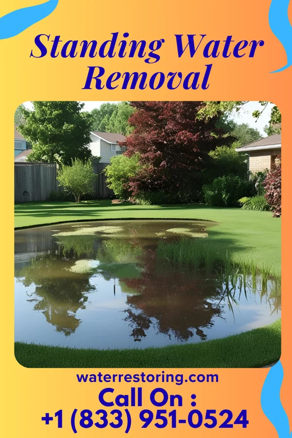 Standing Water Removal in Salix, IA